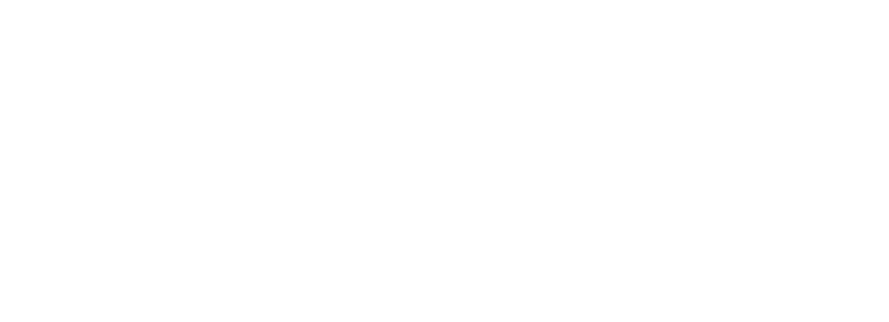 Physis Investment Logo